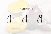 Mango | Script Font, a Handwritten Font by Scratchones (Thumbnail 8 of 9)
