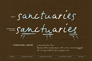 Tranquilly | Handwritten Font, a Handwritten Font by type peace (Thumbnail 9 of 19)