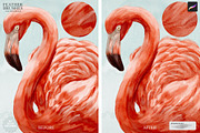 Feather Brushes for Procreate, a Brush Add-On by Julia Dreams (Thumbnail 5 of 5)