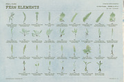 Fern & Paper Archive, a Background Graphic by nadispasibenko (Thumbnail 6 of 10)
