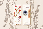 Botanical PNG Elements – 36 Meadow P, an Object Graphic by Aga Silva (Thumbnail 19 of 28)
