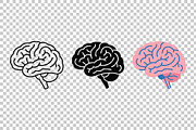 Detailed Human Brain Vector Icon Set, an Object Graphic by Artonix (Thumbnail 3 of 3)