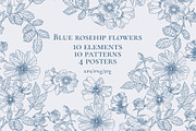Blue rosehip flowers, a Decorative Illustration by LanaDzi (Thumbnail 1 of 12)