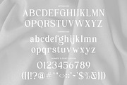 Vogue Chola | Stylish Serif Font, a Serif Font by Mahesans Co (Thumbnail 4 of 10)