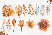 Herbarium Master Collection, a Decorative Illustration by AlexGreenArt (Thumbnail 4 of 12)