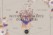 Botany & Antiquity Collection, an Object Graphic by Natali Batu (Thumbnail 1 of 20)