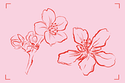 ALMOND LINE ART SET (14+ elements), a Food Illustration by Bonfloret Studio (Thumbnail 5 of 8)
