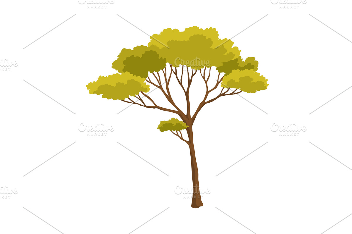 Tree. Eco concept of nature plant, an Object Illustration by the8monkey