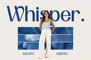 Banyelle Modern Elegant Sans Font, a Sans Serif Font by Vadovastd (Thumbnail 3 of 9)