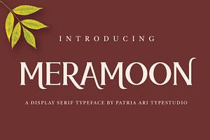 Meramoon - Display Serif Fonts