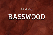 Basswood Serif Font, a Serif Font by TinyWanderersArt (Thumbnail 3 of 5)