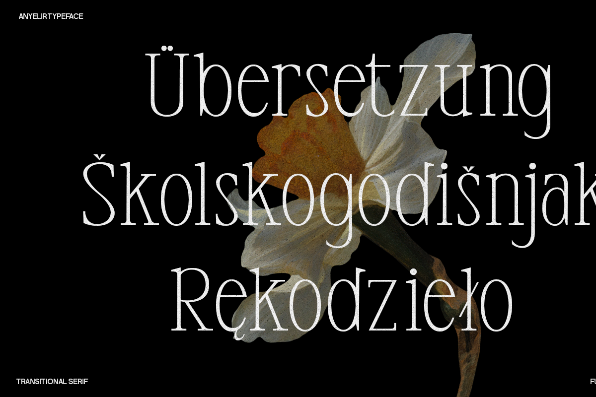 Anyelir Display - Condensed Serif, a Serif Font by Magnolitype (Photo 7 of 21)