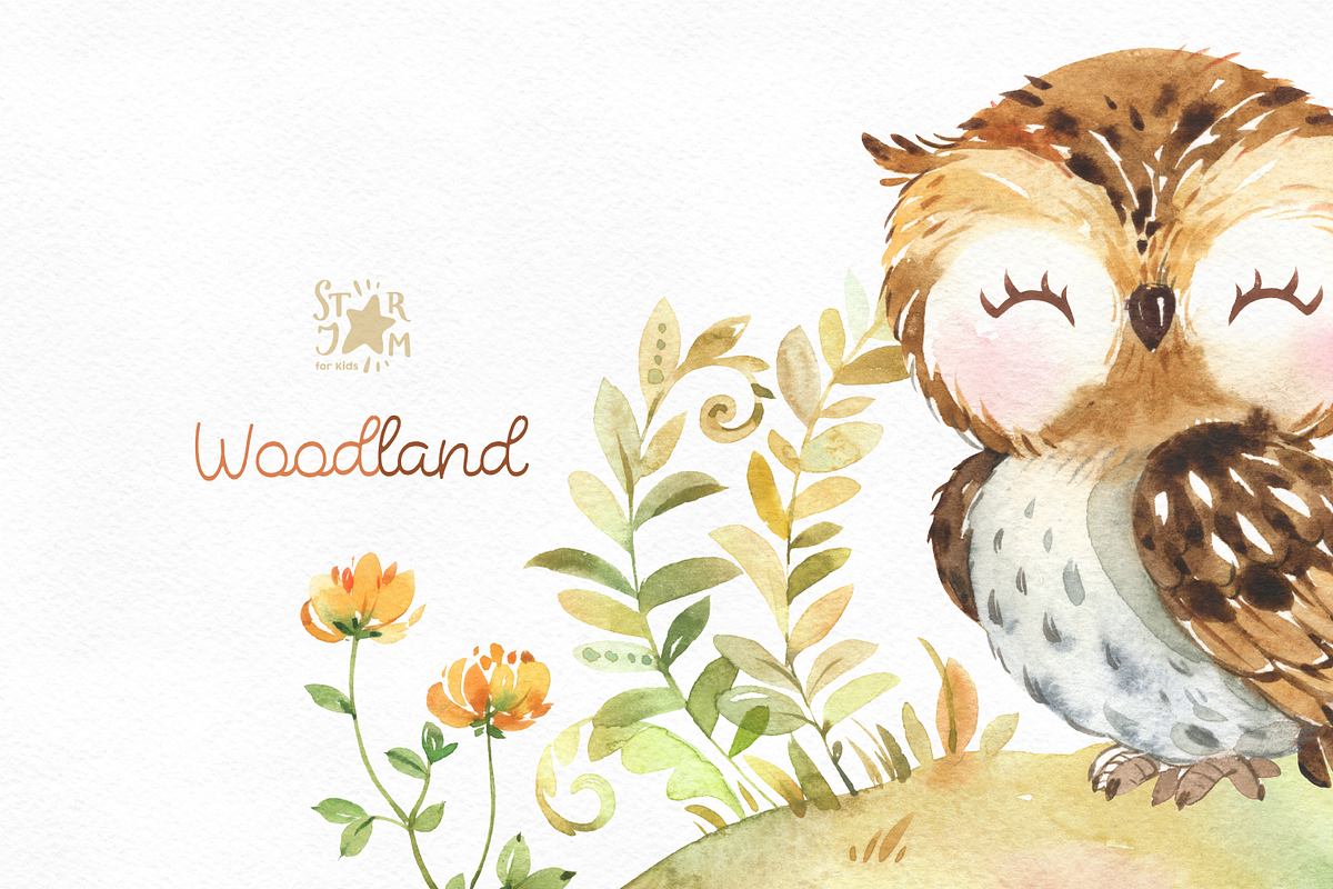 Woodland. Animal Collection, an Animal Illustration by StarJam (Photo 9 of 9)