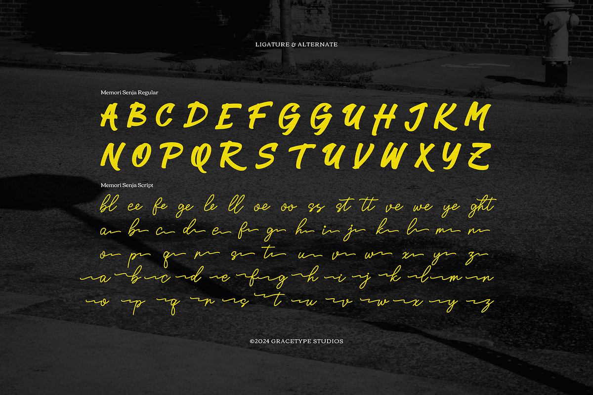Memori Senja | Hand Drawn Script, a Handwritten Font by gracetype_studio (Photo 11 of 12)