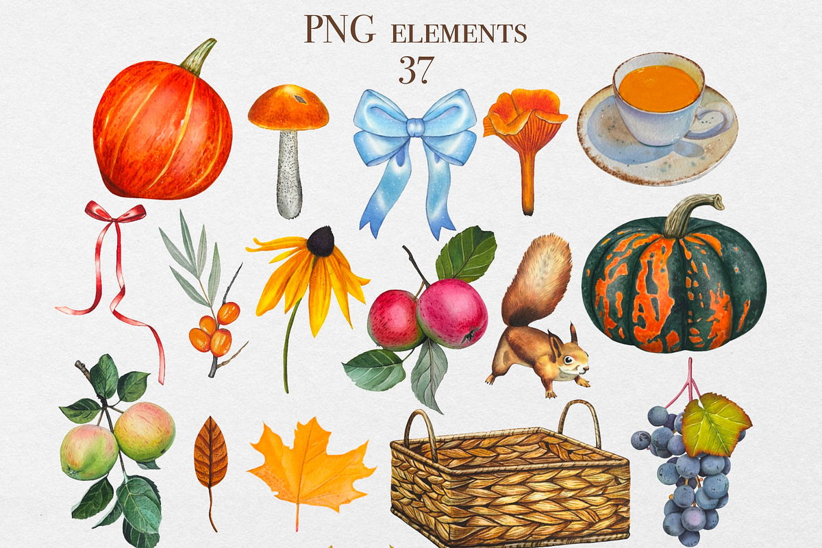 Watercolor Autumn Harvest Clipart, a Seasonal Illustration by DiashaArt (Photo 16 of 17)