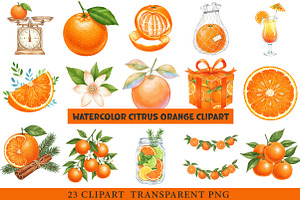 Watercolor Citrus Orange Clipart, an Illustration by cherrydesign