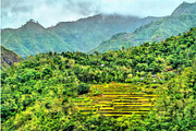 Mayoyao rice terraces unesco world featuring philippines, rice, and ...