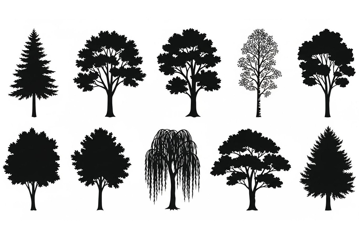 Woodland & Forest Tree Silhouettes B, an Illustration by jahid234 (Photo 20 of 41)