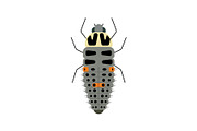 Ladybug Larva, a Solid Icon by Buqancreative (Thumbnail 1 of 2)