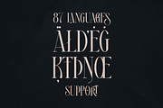 Royal Type - ligature serif font, a Serif Font by VP Fonts (Thumbnail 14 of 16)