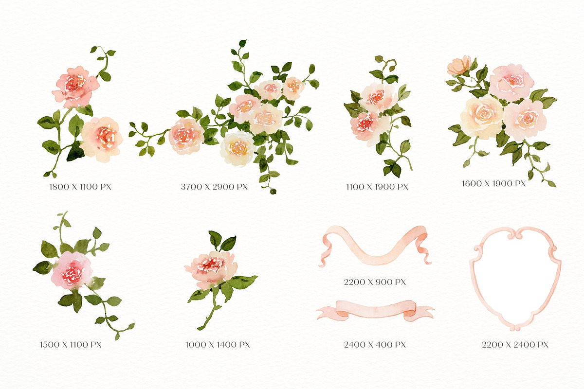 Crests and monograms with roses, a Decorative Illustration by AnnelyBlooms (Photo 6 of 9)
