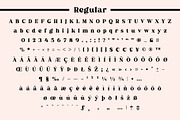Fox Miravel, a Serif Font by Fox7 By Rattana (Thumbnail 10 of 14)