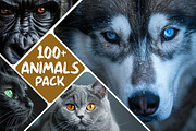 Animals Pack Over 100 UltraHD images, an Animal Photo by Pixels.Craft (Thumbnail 1 of 8)