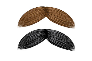 Stylish Moustache Vector Set