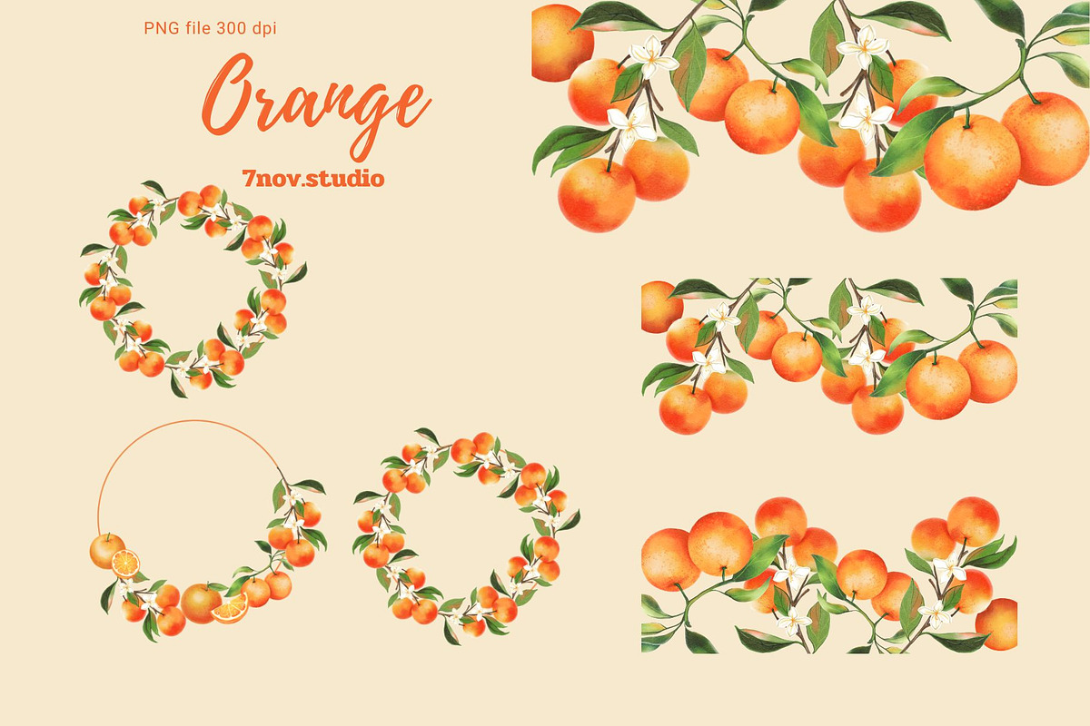 Orange clipart, a Decorative Illustration by 7nov.studio (Photo 5 of 6)