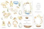 Watercolor Life Cycle Collection, an Education Illustration by MayaNavits (Thumbnail 11 of 15)