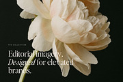 150 Editorial Stock Photos | Allure, a Person Photo by Adam and Grace (Thumbnail 4 of 20)
