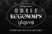 Rovaney - Fancy Font Family, a Serif Font by Arterfak Project (Thumbnail 15 of 15)