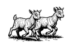 Vector of two young goats running, an Animal Illustration by yod67