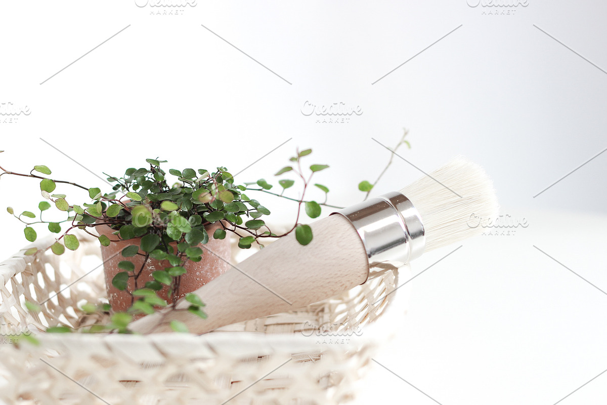 Neutral Collection | Styled Stock, a Business Photo by Chalking Up Stock (Photo 19 of 25)