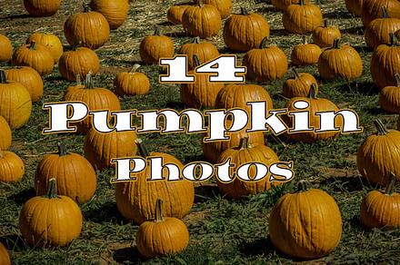 14 Pumpkin Photo Collection