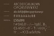 Serafilms Modern Stylish Serif, a Serif Font by Storytype Studio (Thumbnail 13 of 15)