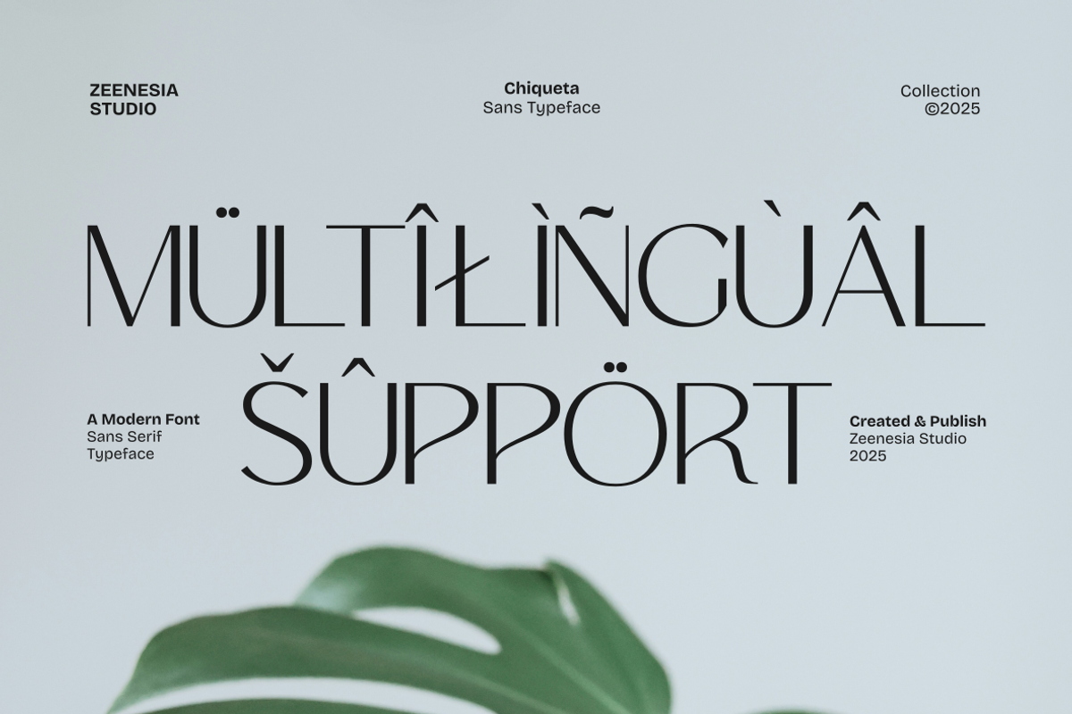 Chiqueta, a Sans Serif Font by zeenesia (Photo 17 of 18)
