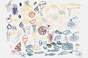 Mediterranean Food Illustrations, a Graphic by HabitusDesigns (Thumbnail 2 of 5)