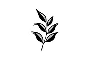 Hand Drawn Leaf Line Art Bundle, an Illustration by hafijul (Thumbnail 18 of 51)