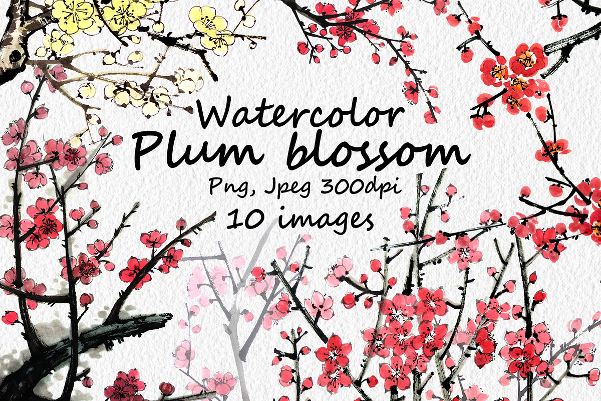 Watercolor clipart of blossom plum, a Decorative Illustration by ViktoriArt (Photo 1 of 11)