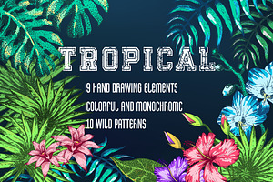Tropical Plants and Patterns
