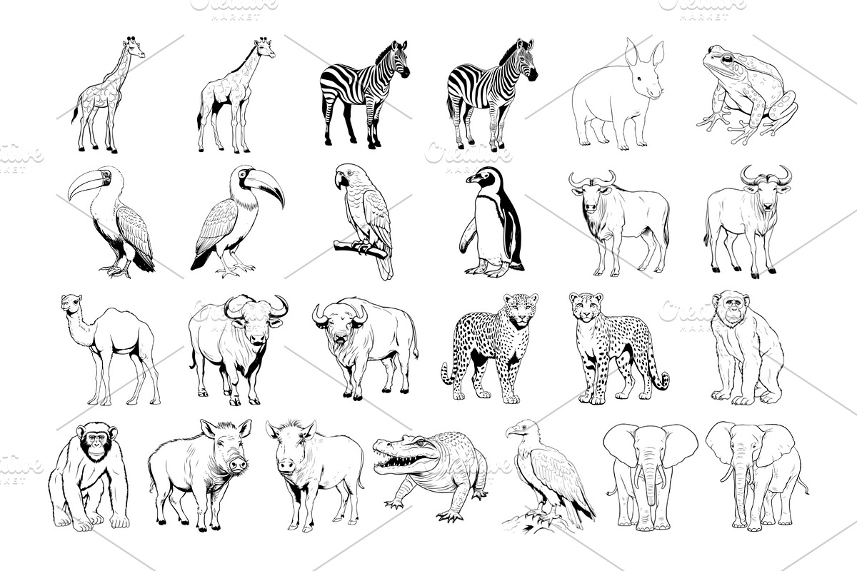 50 Safari Animals Procreate Stamps, a Brush Add-On by Procreate Sale (Photo 5 of 6)