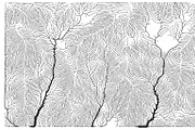 Growth - 50 Backgrounds, a Texture Graphic by GarryKillian (Thumbnail 50 of 51)