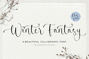 Winter Fantasy - Calligraphy Font