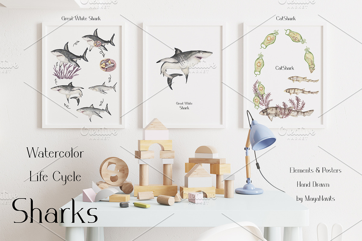 Watercolor Sharks Life Cycle Set, an Education Illustration by MayaNavits (Photo 7 of 9)