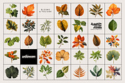 BOOK OF FLOWERS 2 Clipart, an Object Graphic by angelainthefields (Thumbnail 10 of 13)