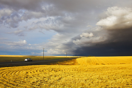 The thunder-storm in a countryside, a Photo by kavram