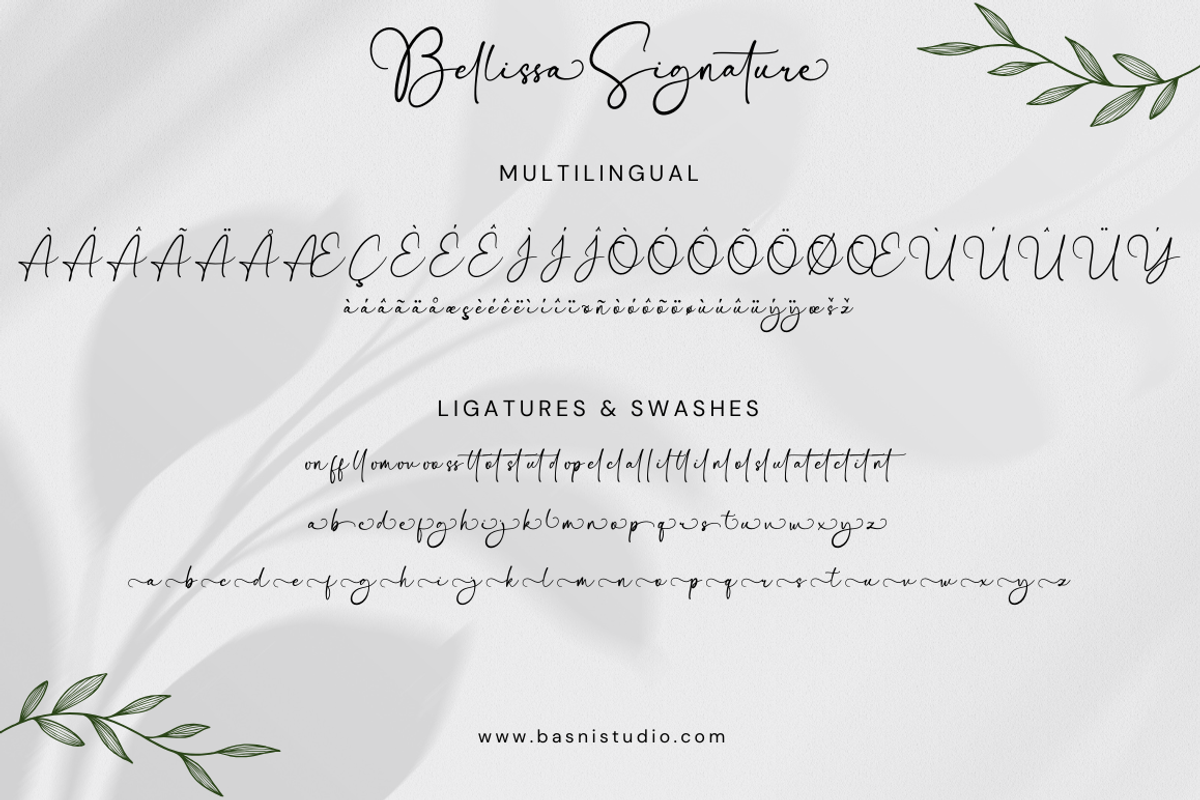 Bellissa Modern Signature Font, a Script Font by Basnistudio (Photo 9 of 10)