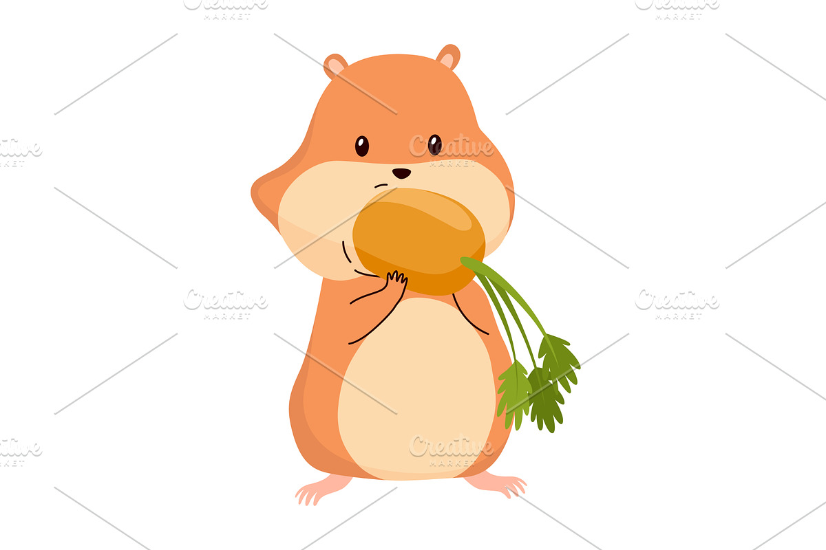 Cartoon hamster. Fluffy domestic pet, an Animal Illustration by the8monkey