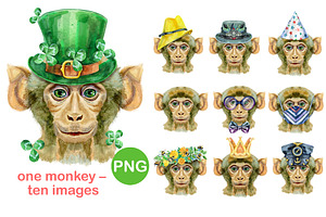 Monkey portraits, an Animal Illustration by Watercolor fantasy